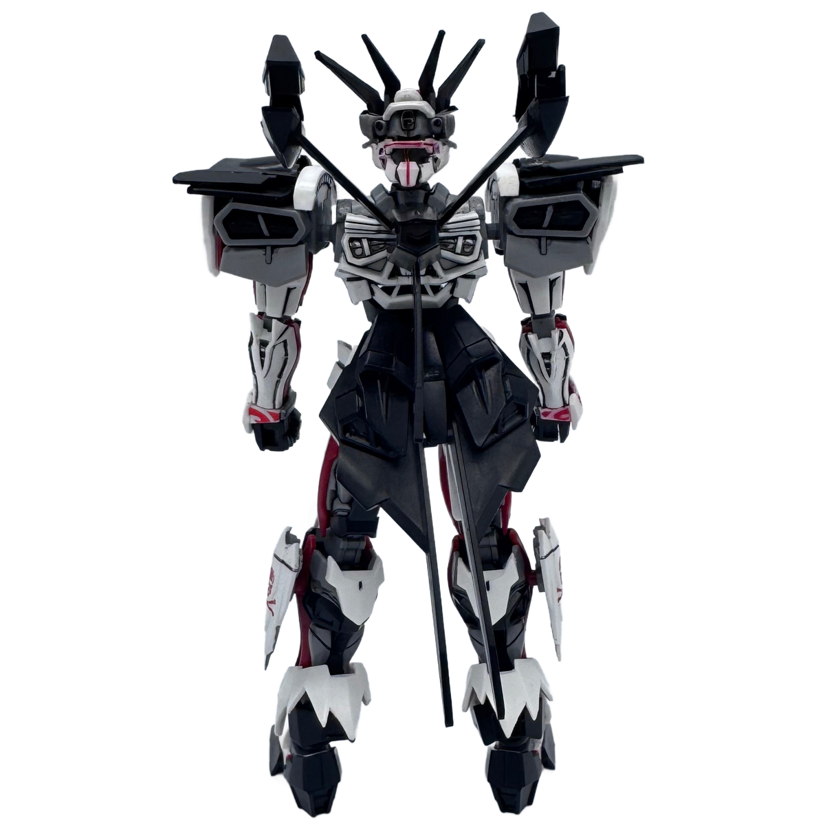 Custom HG GM Sniper II & Astray — Crossbones Faction Two-Kit Set w/ matching LBASE and LEDs